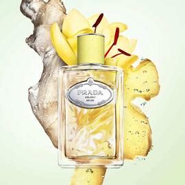 prada ginger perfume|Infusion de Gingembre EDP .